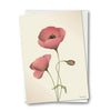 Vissevasse Poppy Greeting Card, Meringue, 10,5x15cm